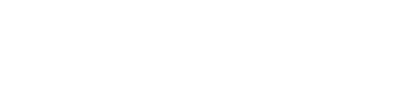 Govt Logo